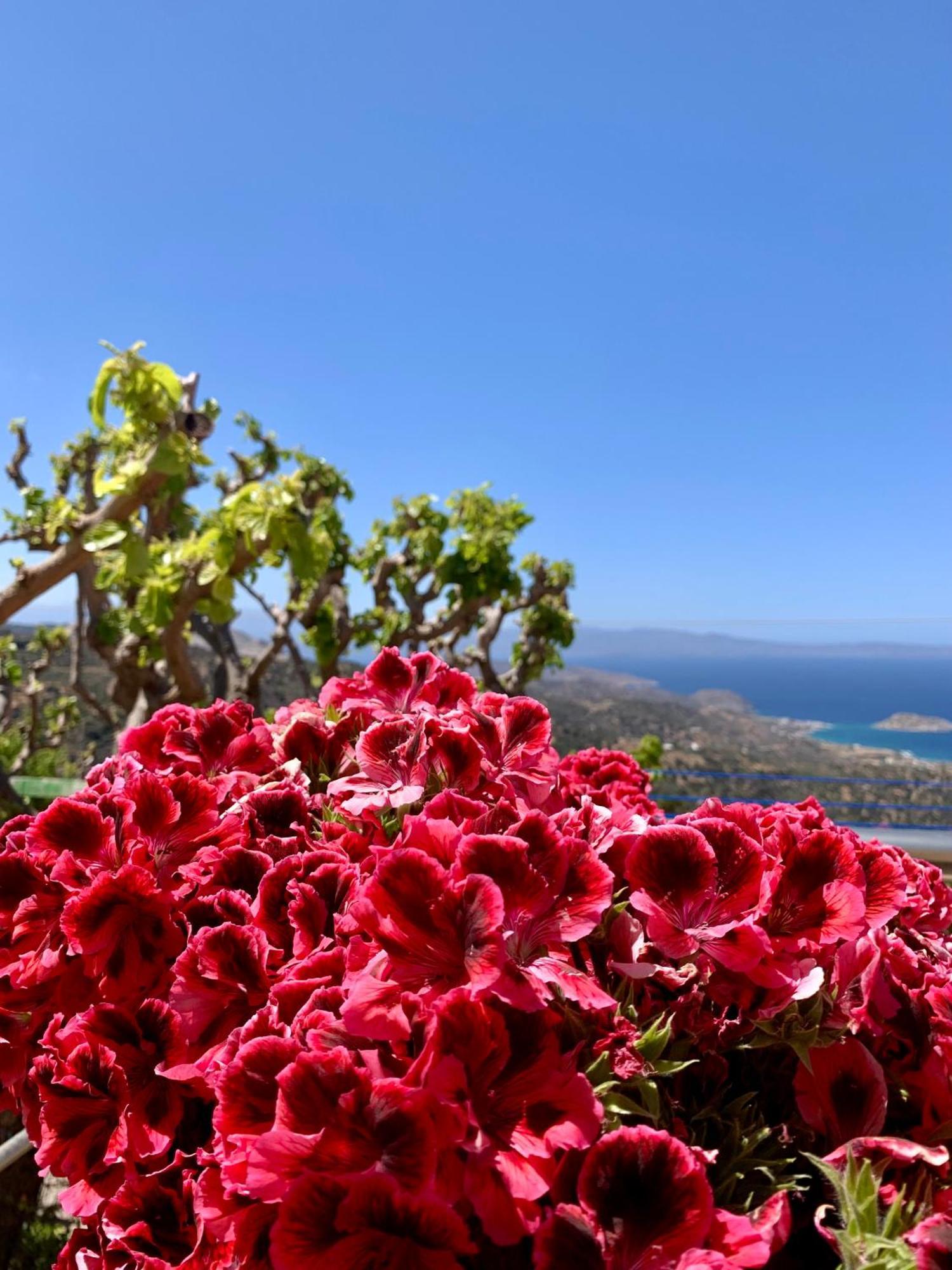 Morea Bay View Tourlotí 외부 사진