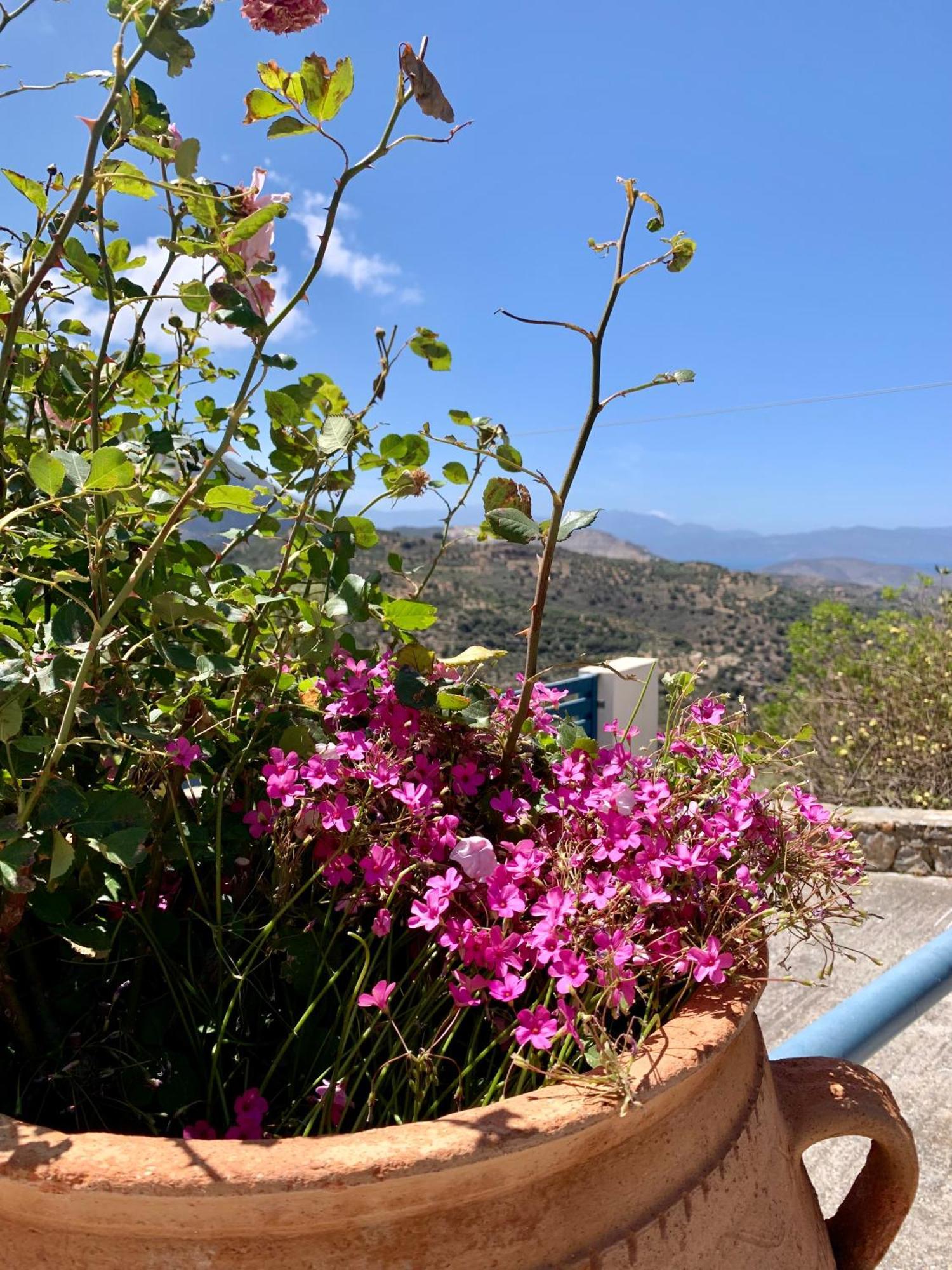 Morea Bay View Tourlotí 외부 사진